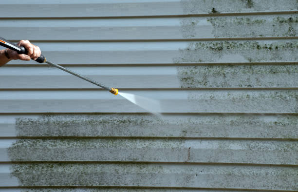 Roof Power Washing Services in Milan, IL